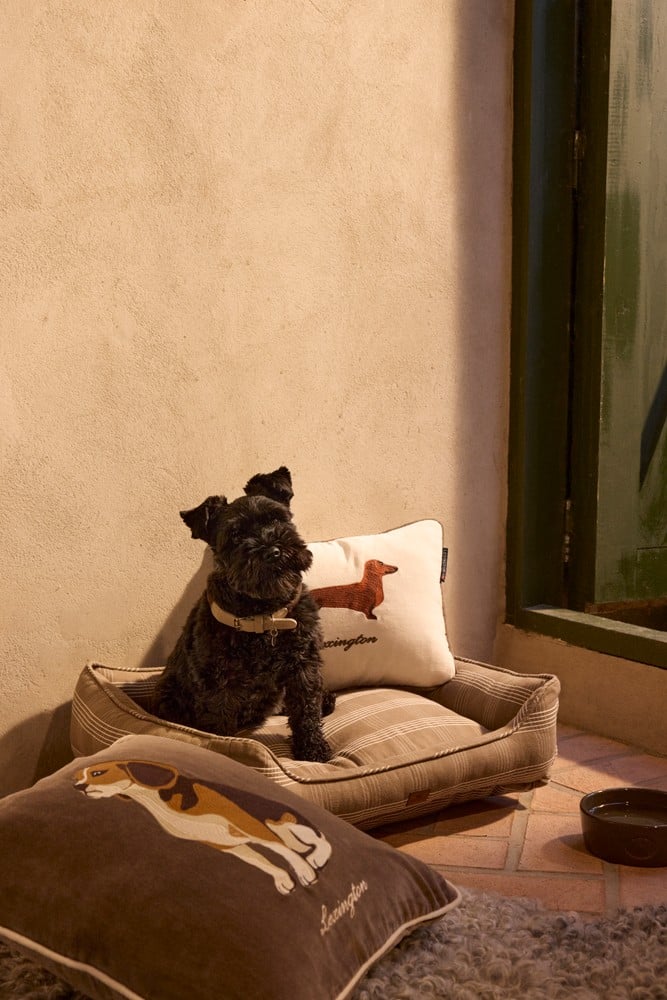 Lexington Dog Organic Cotton Velvet 40*30