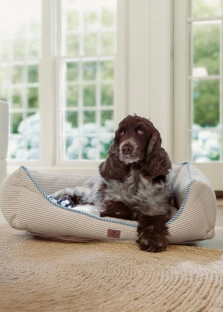 Lexington Strip Org Cotton Dog Bed BE/Wh/BL 60*45