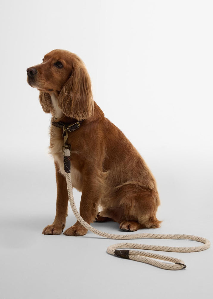 Barbour Rope Dog Lead Natural 155cm