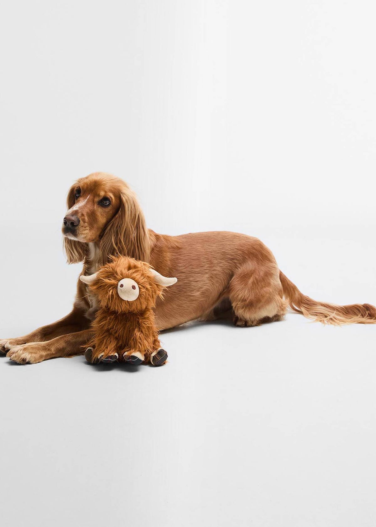 Barbour Highland Cow Dog Toy Brown
