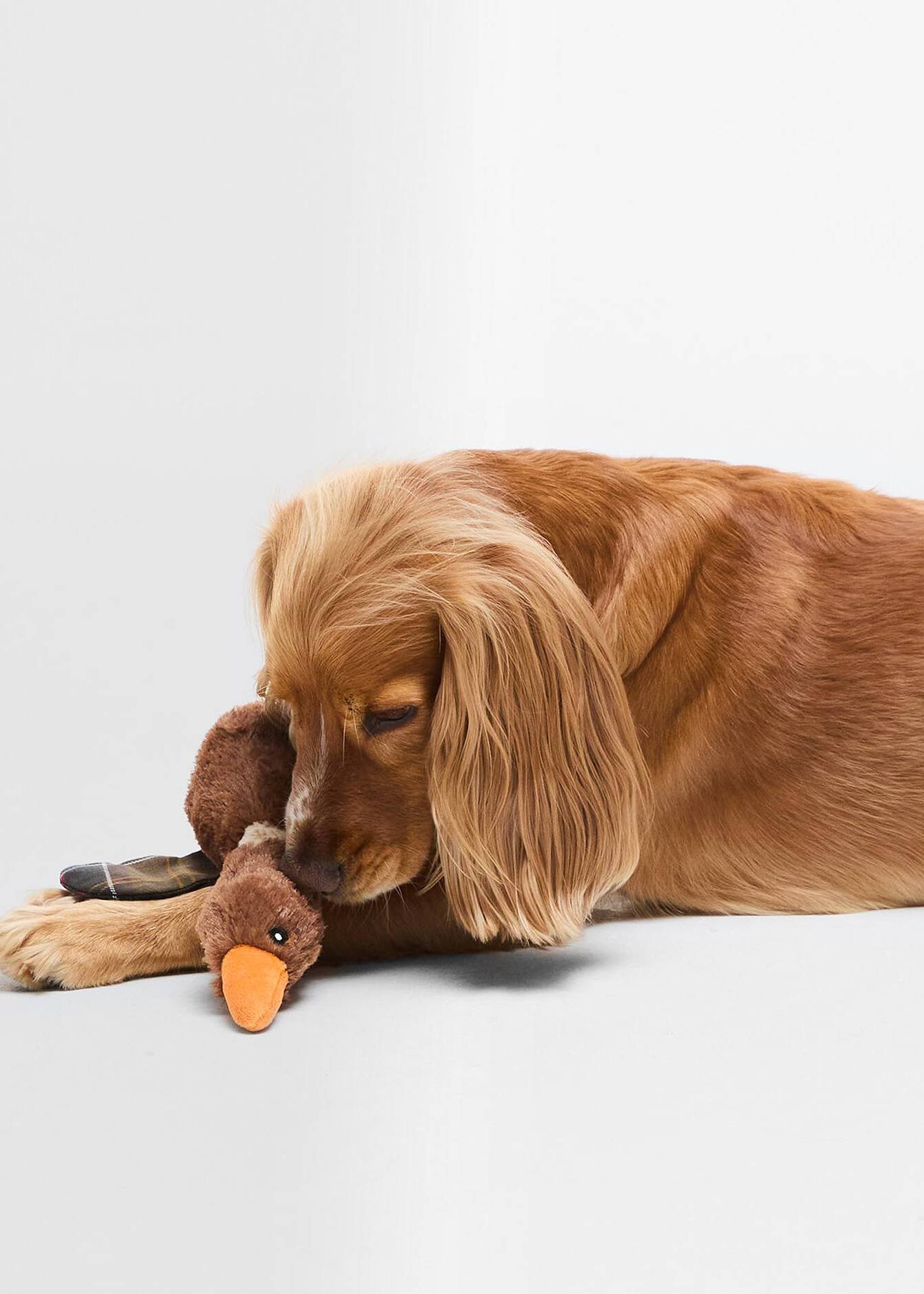 Barbour Flying Duck Dog Toy Brown