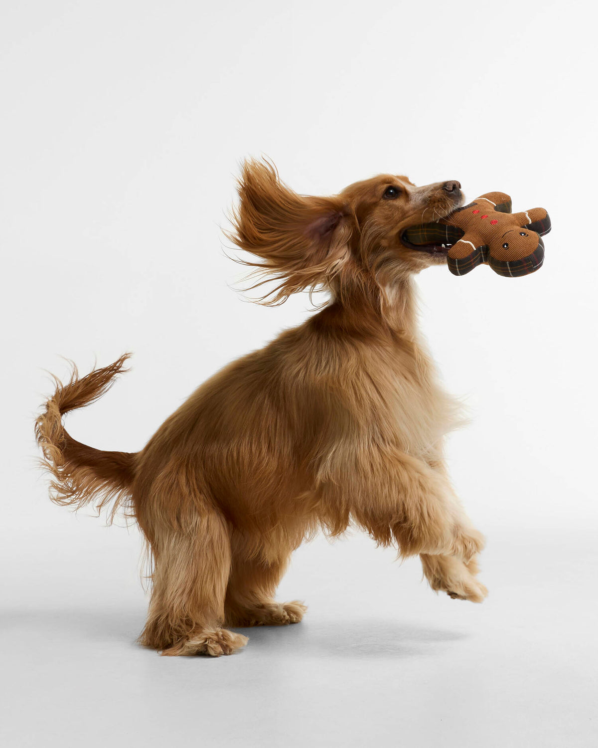 Barbour Dog Gingerbread Man Toy