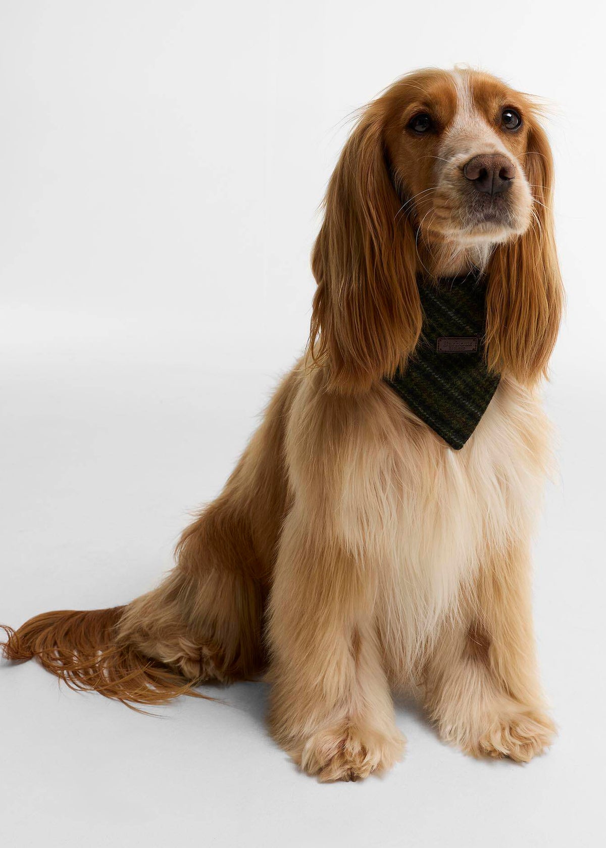 Barbour Dog Bandana Olive