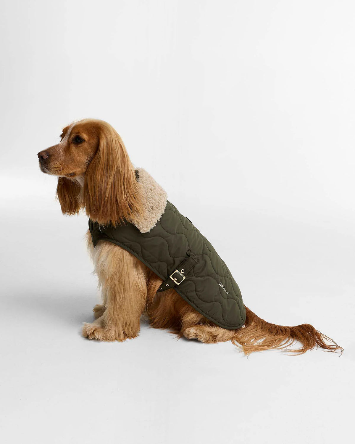Barbour Beuth quilted Dog Coat Olive