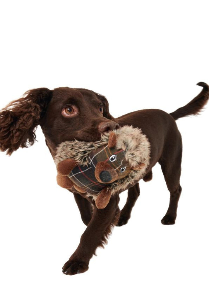 Barbour Dog Hedgehog Toy