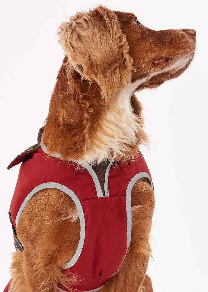 Barbour Monmouth Waterproof Dog Coat