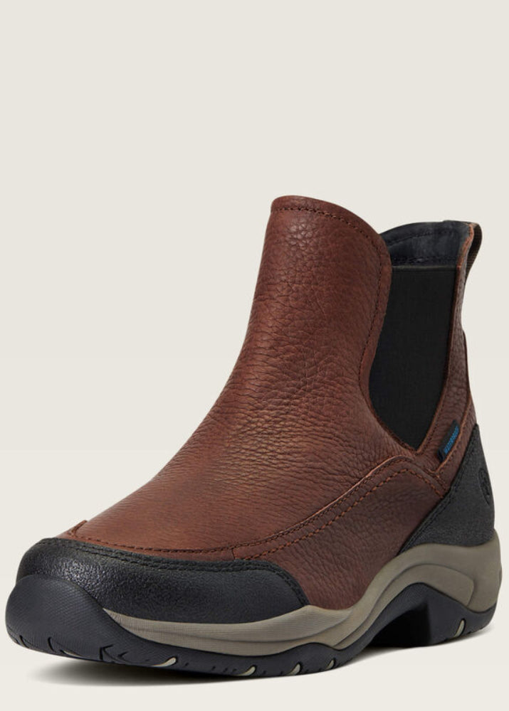 Ariat Terrain Blaze H2O Dark Brown