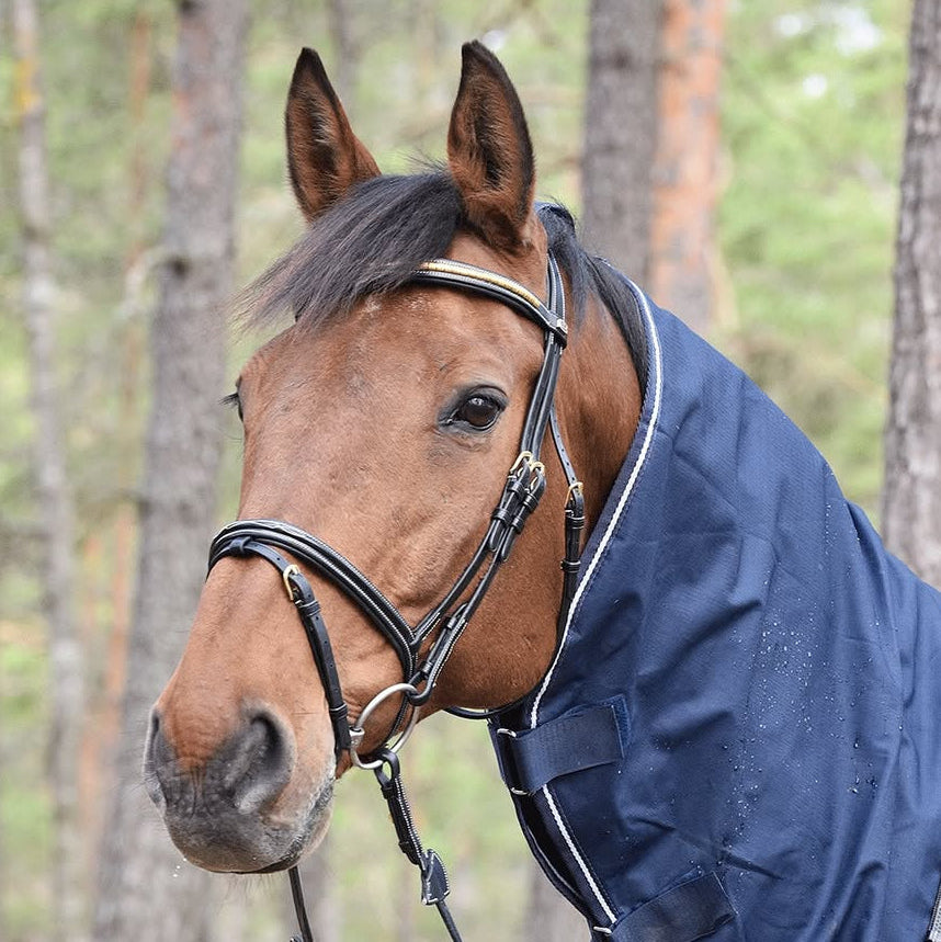 Equiline Corby Ridregntäcke