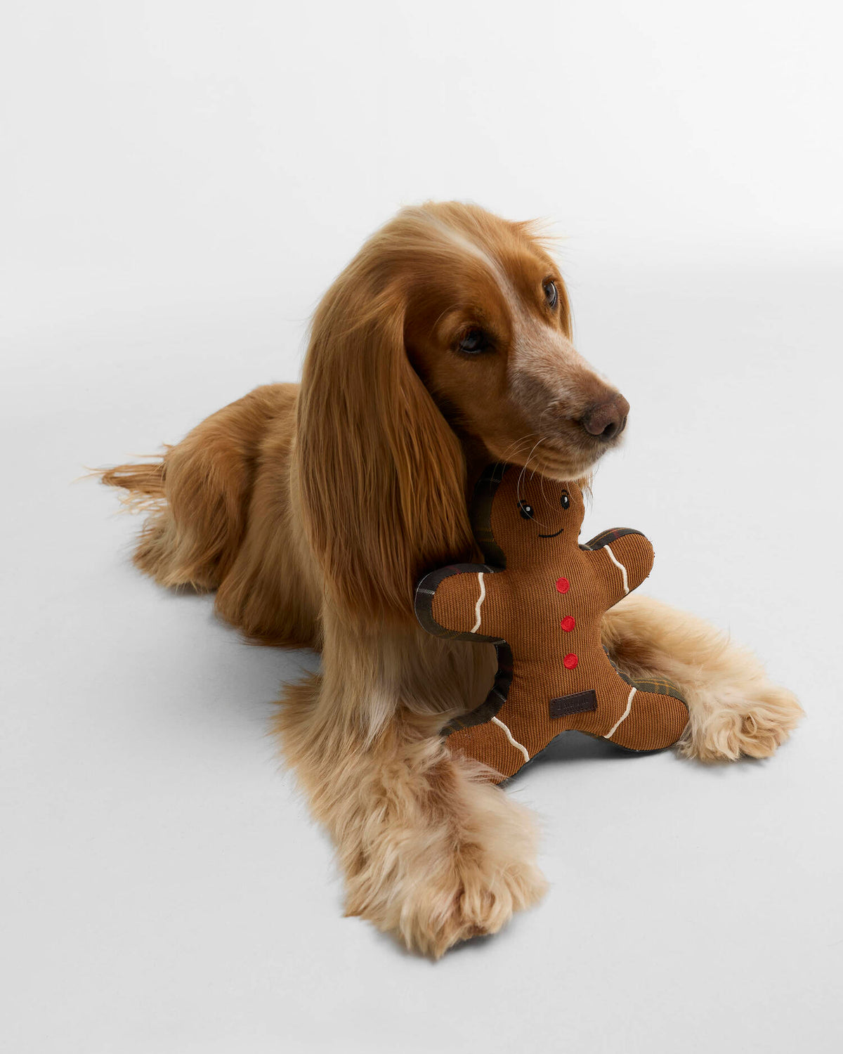 Barbour Dog Gingerbread Man Toy