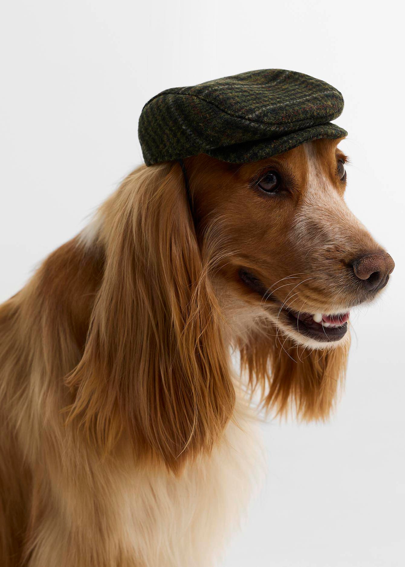 Barbour Wilkin Dog Flat Cap Olive Check