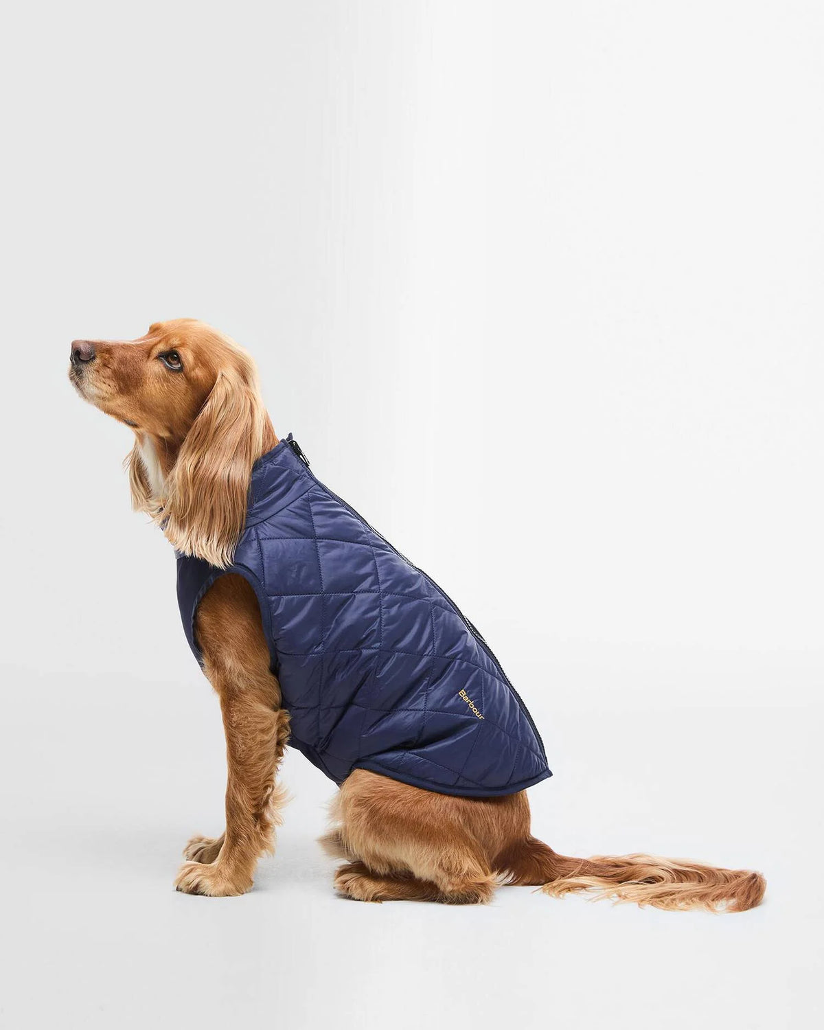Barbour Field Reversible Dog Coat Navy (Not Found)