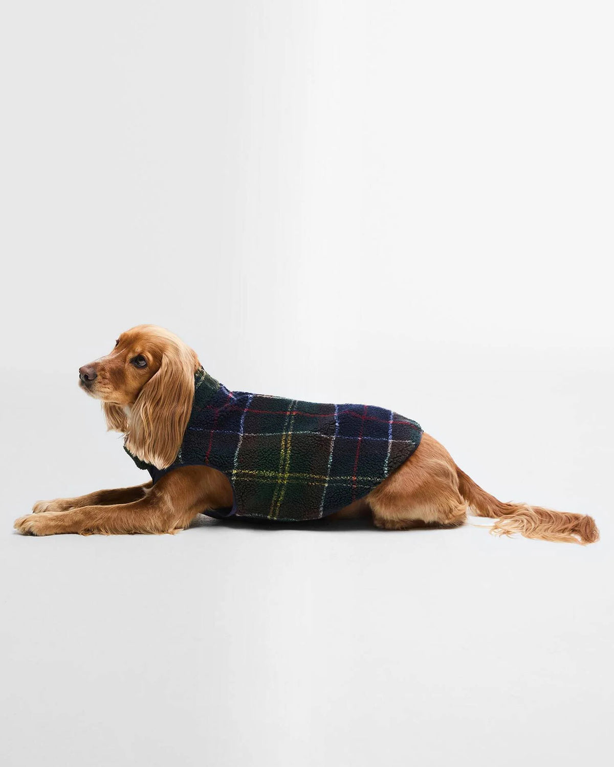 Barbour Field Reversible Dog Coat Navy (Not Found)