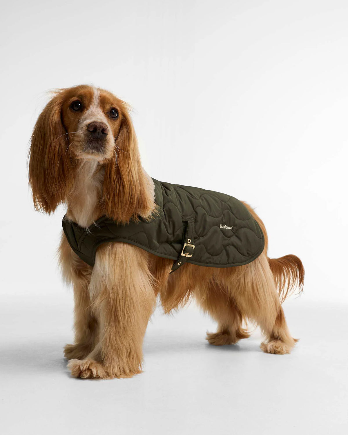 Barbour Beuth quilted Dog Coat Olive