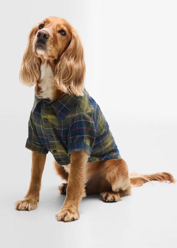 Barbour Tartan Fortrose Dog Shirt CL Tartan
