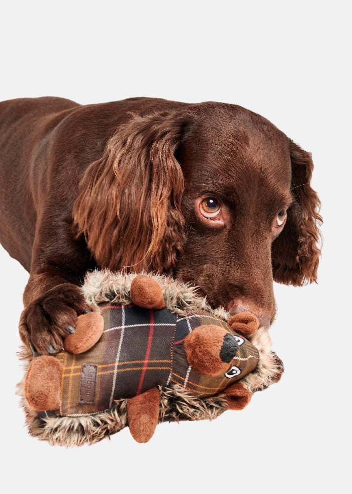 Barbour Dog Hedgehog Toy