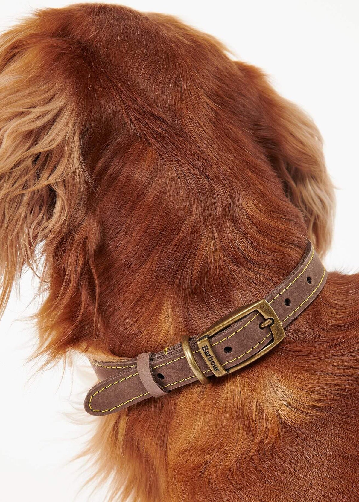 Barbour Leather Dog Collar Brown