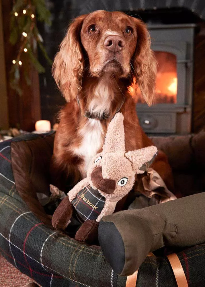 Barbour Dogs Rabbit Dog Toy