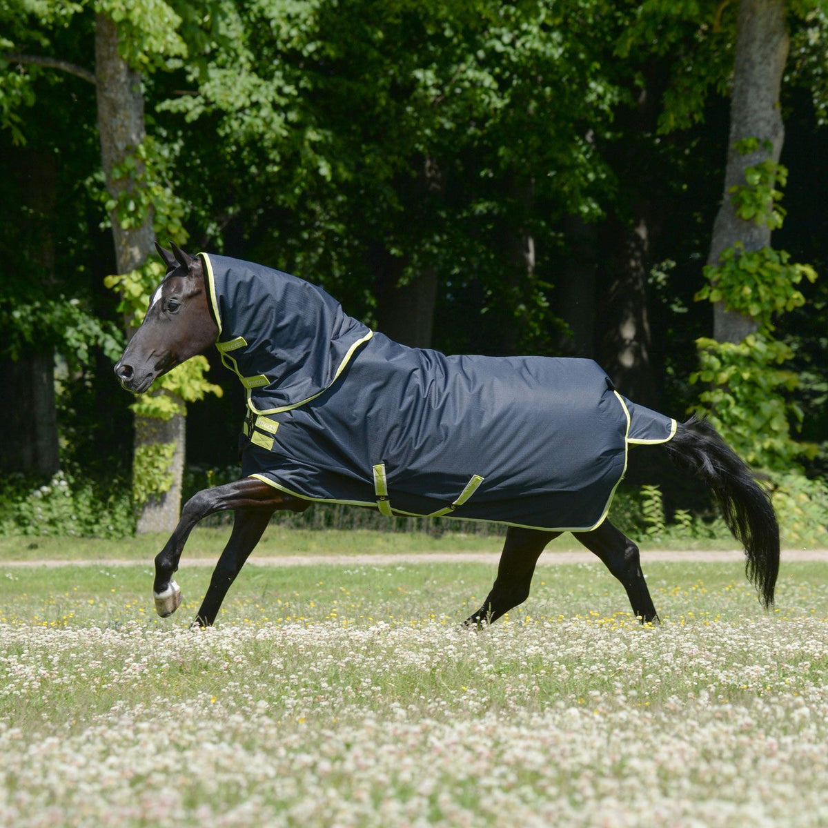 Bucas Oasis Turnout 100g + Neck Dark Grey Lime